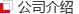 公司介绍